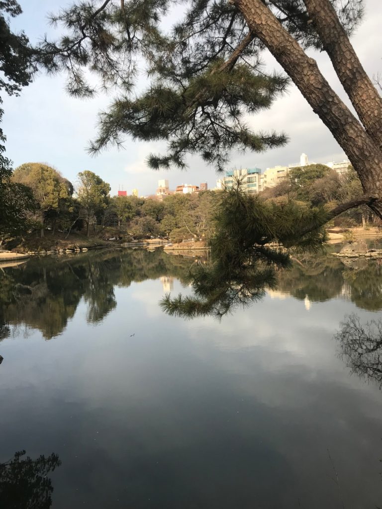 冬の六義園