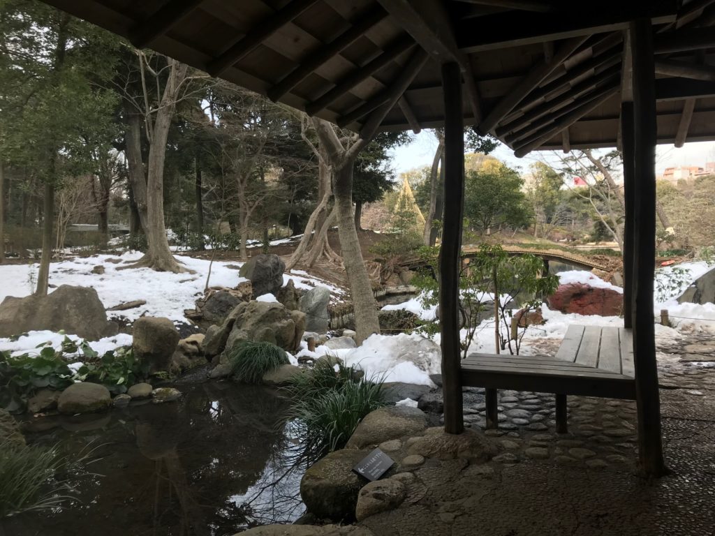 冬の六義園