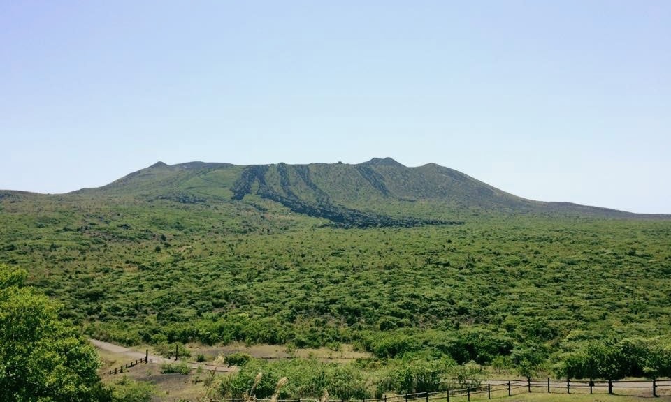 伊豆大島