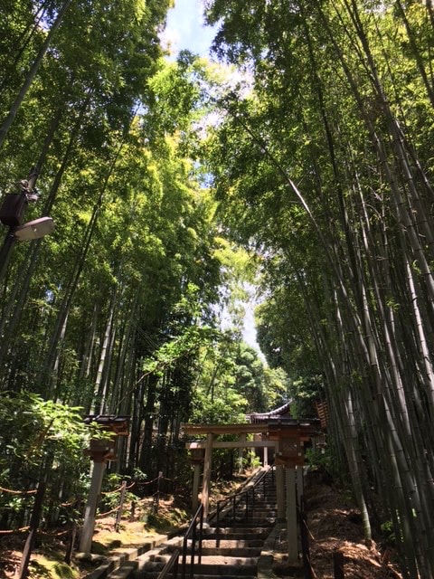 奈良観光スポット
