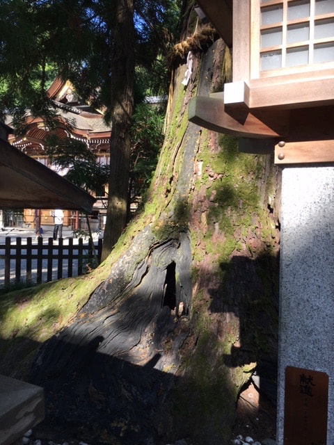 奈良観光スポット