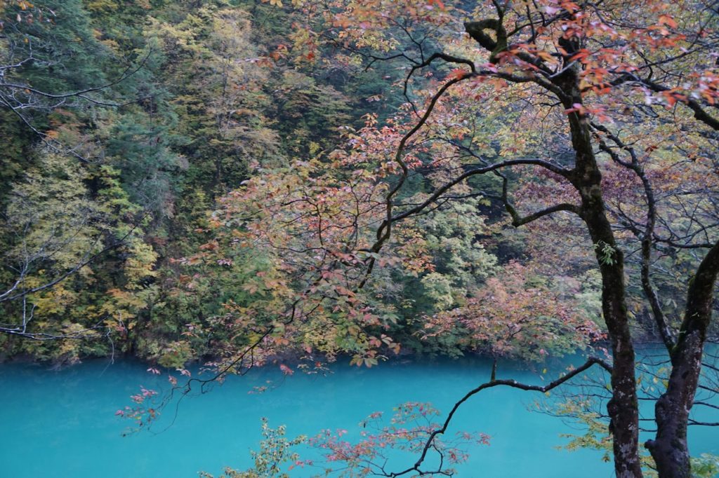 富山 観光