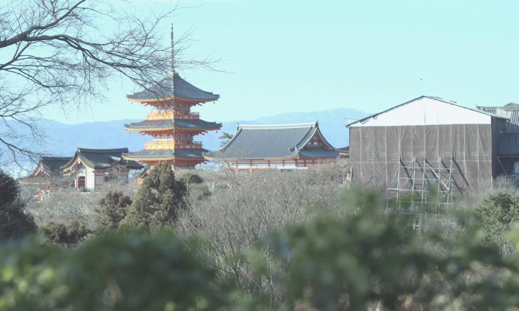 京都観光写真5