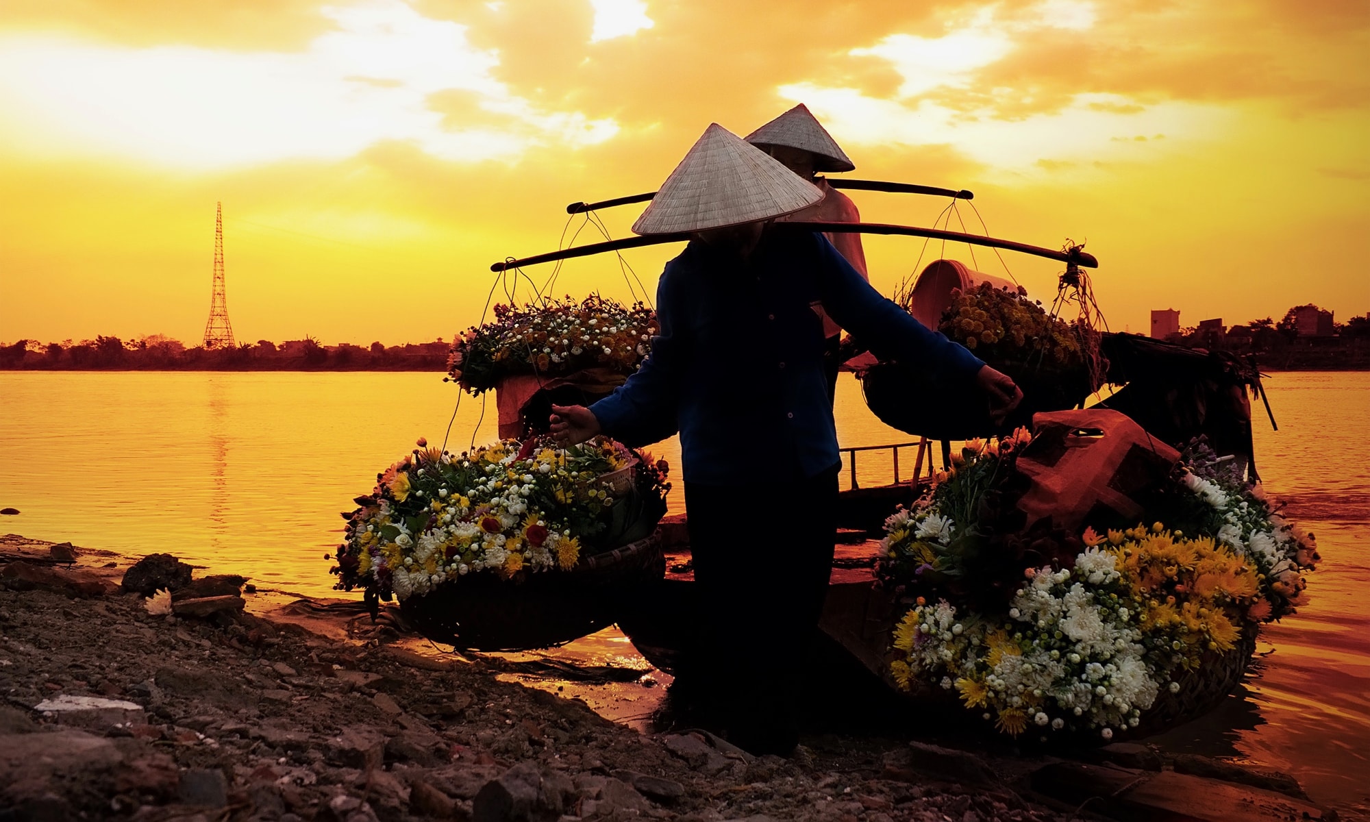 真面目な性格 ベトナム文化や特徴 日本との違いを徹底紹介 Pokke ポッケ