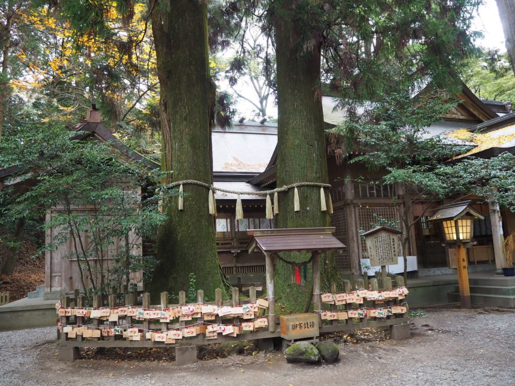 高千穂写真