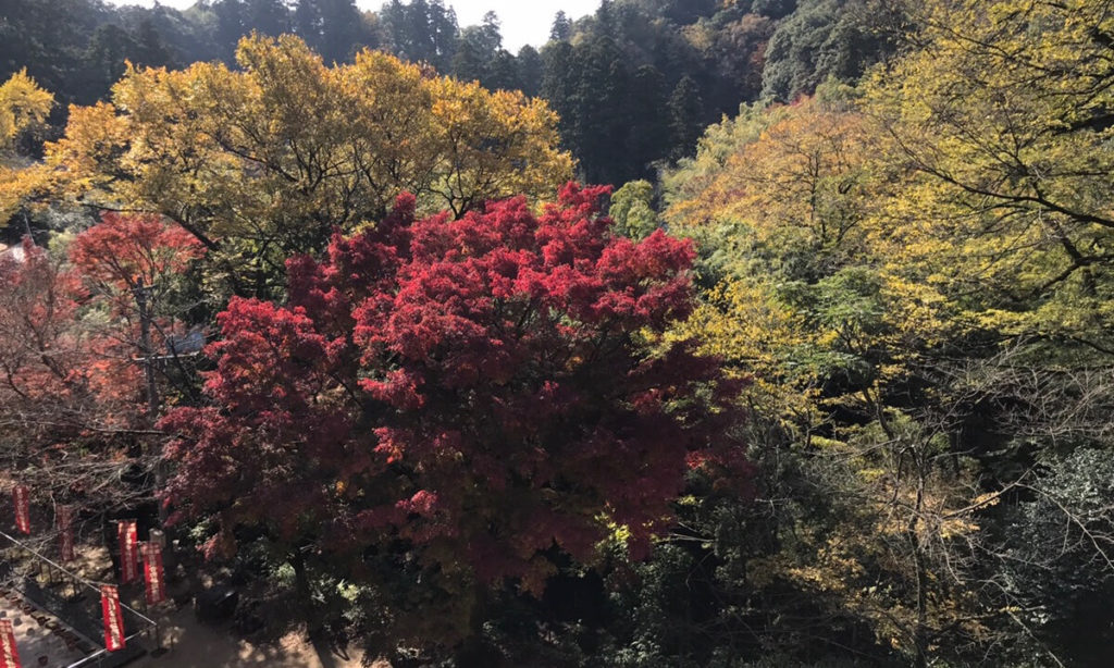 安来清水寺