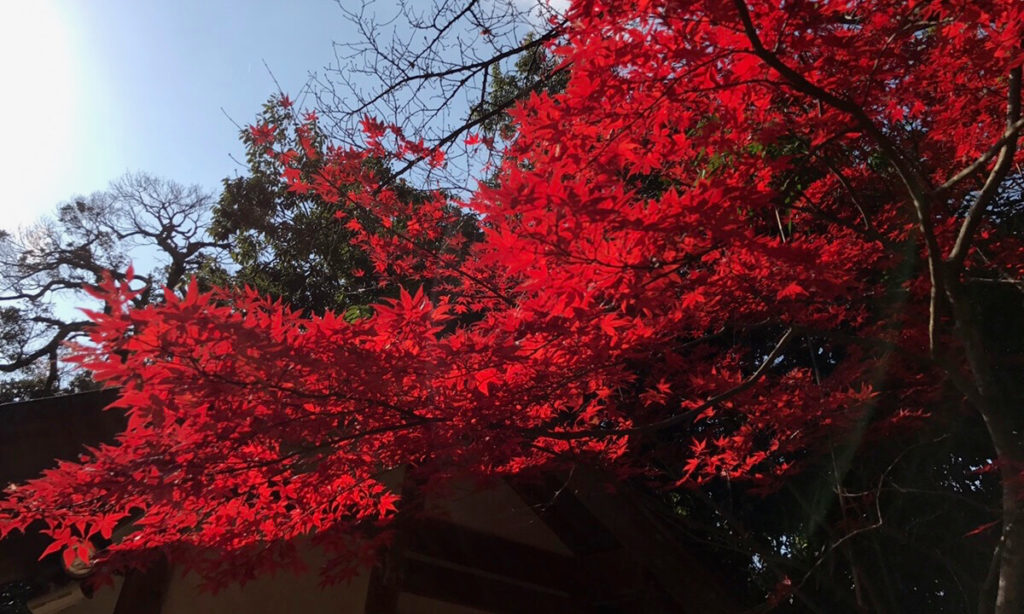 安来清水寺