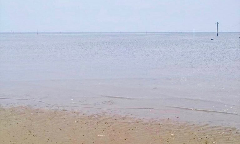 潮干狩り 富津