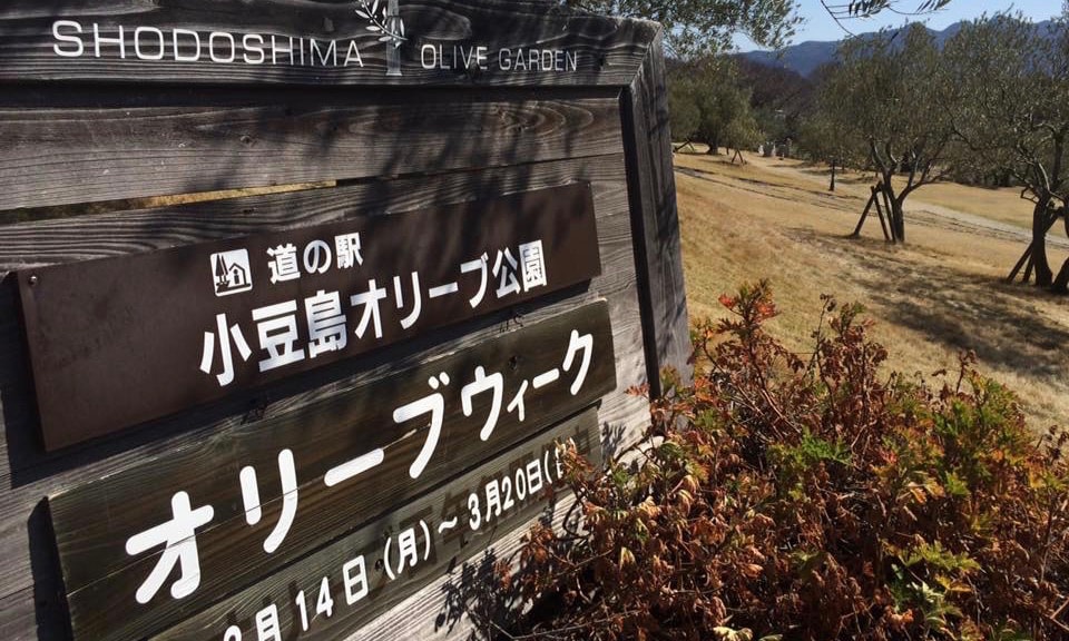 小豆島オリーブ公園
