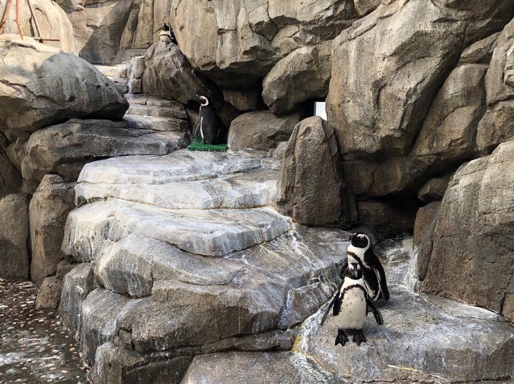 仙台うみの杜水族館