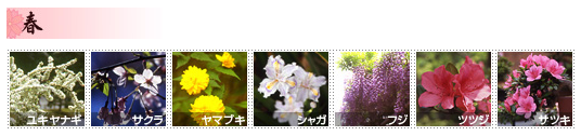 三渓園　季節の花