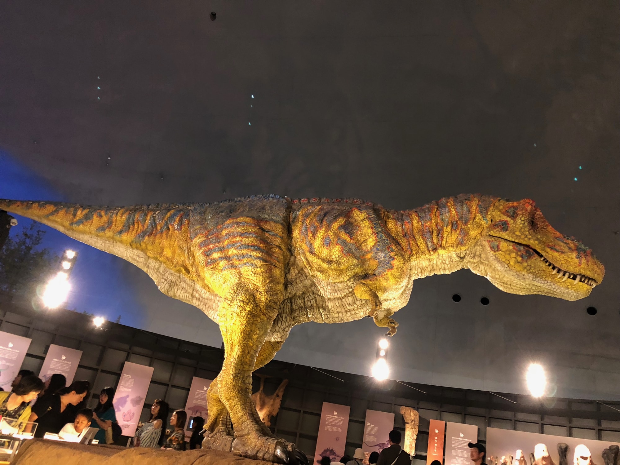 恐竜 ツアー 福井 博物館