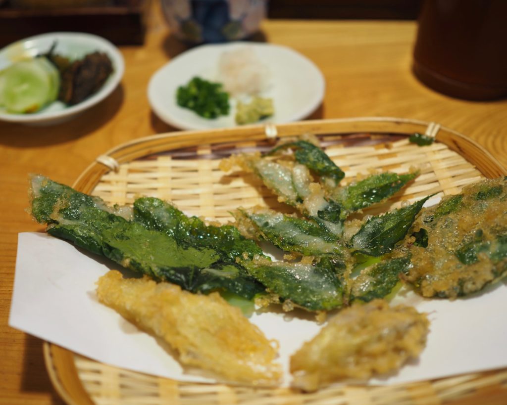 阿蘇 観光