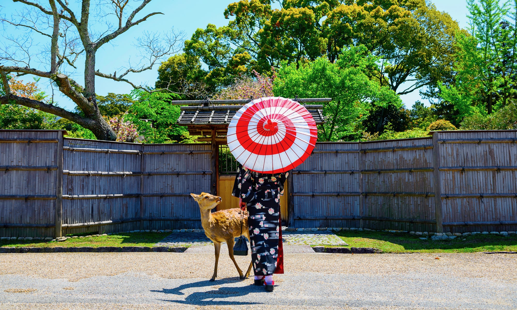 奈良のおすすめ名産品特集 魅力がギュッと詰まった物を紹介 Pokke Magazine